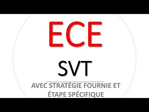 ECE SVT 2025 avec stratégie fournie