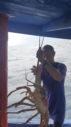 How to Catch a Large Lobster While Boating