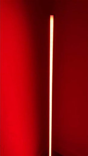 Must Watch This Before You Buy. Honest Review