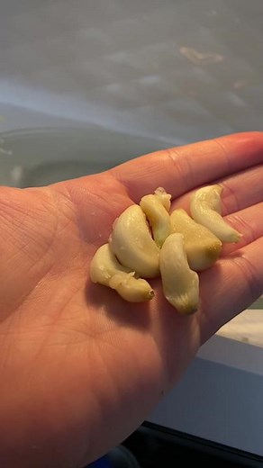 Microwave Garlic Peeling Hack Test