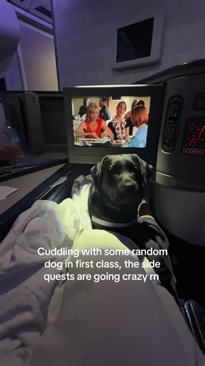 Cuddling with Random Dog in First Class Adventure