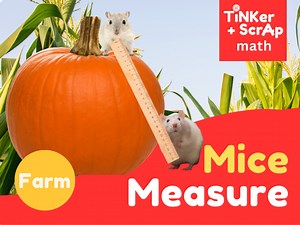 Mice Measure
