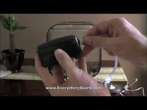 How to set up a Biorb Life Aquarium