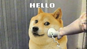 Newbie Quest: Understanding Dogecoin (DOGE)