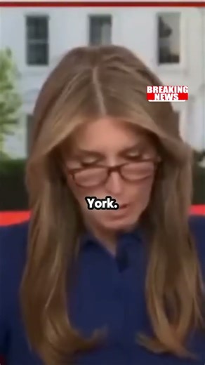 Peaceful Protests First Amendment in Action