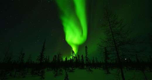 176 reactions · 22 shares | While many photographers seek to capture the aurora borealis on their cameras, it's important to be prepared with the proper techniques to ensure your pictures are as inspiring as the northern lights. Watch this video for expert guidance from Expedition Leader Court Whelan, Ph.D., who has been refining his astrophotography skills with the brilliant spectacle of the aurora in Churchill, Manitoba, Canada for the past decade. | Natural Habitat Adventures | Facebook