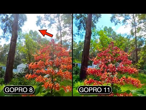 GoPro 11 vs GoPro 8 Video Test Compare