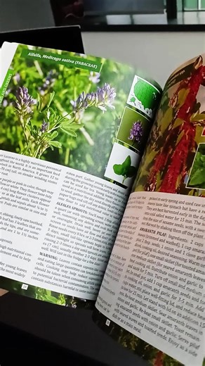 The Forager's Guide to Wild Foods | High-Quality Images & Maps for Plant Identification | Guidelines, Recipes, Full Page Photos, Medicinal Uses