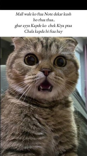 chu* gyee #tweetreels#asthetic#lofichill#brokenheart#sadquotes#sad#lofimusic#thoughts#astheticstatus