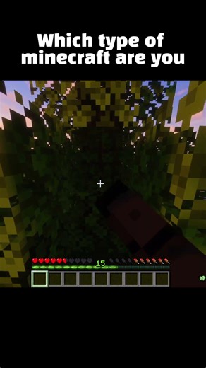 Which Minecraft Player Type Are You #minecraftplayer #quiz #minecraft