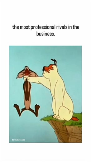 Little_Cartoon on Instagram: "The post features a 53-second Looney Tunes clip from the 1953 short "Don't Give Up the Sheep," showing Ralph Wolf (Wile E. Coyote's sheep-herding alter ego) and Sam Sheepdog's chaotic 9-to-5 rivalry—complete with cliff falls and balloon gags—ending in polite "morning" greetings as they clock out. ​Captioned "the most professional rivals in the business," it nostalgically contrasts their on-duty violence with off-hours civility, resonating with audiences via 1M+ view