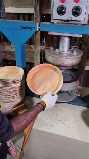 Eco-Friendly One-Time Plates & Bowls Production