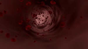 Des Globules Rouges La Biologie - Free video on Pixabay