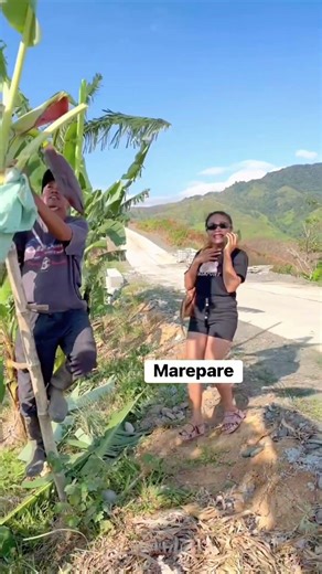 Gravity Wins! 🍌 Banana Tree Climbing FAIL 😂 #Shorts #Funny