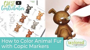 Guest Contributor Michelle Houghton is back to show you how to color animals with Copic Markers. Michelle utilizes TE's new Fur Color Chart Download (https://www.tayloredexpressions.com/copic-fur-color-chart.html) while going through the tutorial. | Taylored Expressions