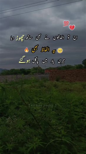 Two line poetry 2 💔 🥀 #urdupoetry #shayari #lovepoetry #deeplines #poetry #urduline #sadlines
