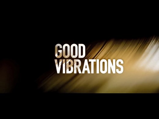 Good Vibrations (2012)