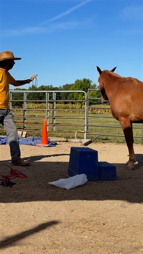 Empowered, Not Imposed At the MAA, we believe healing comes when mustangs (& veterans) are given the choice to be ACTIVE participants—not just PASSIVE recipients of what happens to them. With Valley, we’re working toward haltering by choice. Starting simply—with a loop of twine—she is asked to walk up and place her head into it as it slips over. It’s not about forcing, it’s about her choosing to step into trust. 💛 Because whether it’s a horse learning safety, or a veteran walking their healing 