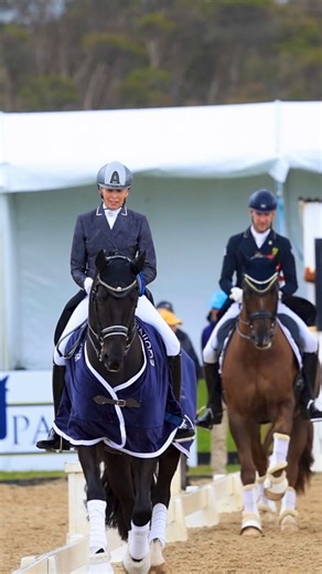 🏆 Mary Hanna & Ivanhoe won the CDI3* Grand Prix Special today with an exceptional test scoring 71.36 % 🙌 Congratulations! | Unicorn Video Productions