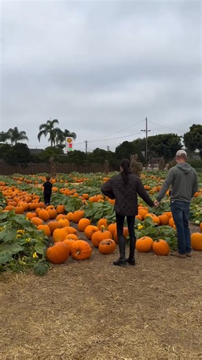 Нalloween mood и old money style в семье Сассекских 🎃 | HELLO! Russia