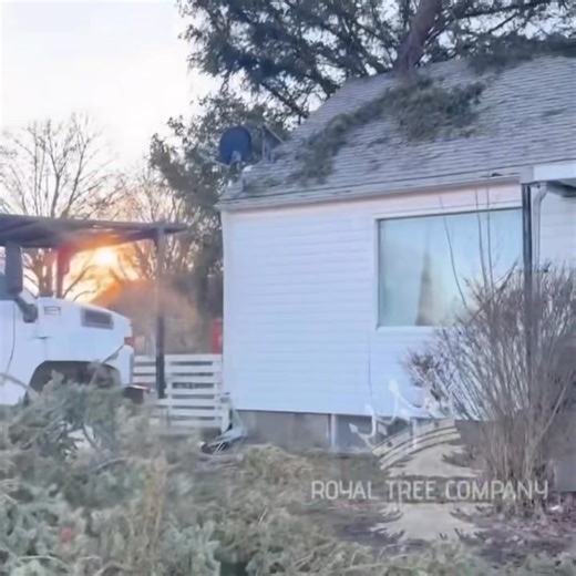 🌲 Don’t forget to call your favorite arborists — Royal Tree Co. 🌲 Locally owned and operated right outside of Davenport, WA, we take pride in serving our community with hard work, honesty, and reliability. At Royal Tree Co., we get the job done right with safety always in mind, because we truly care about our neighbors and their property. We’re licensed, bonded, and insured, so you can trust your trees are in good hands. 📅 Now booking for 2026 — spots are filling fast! 📞 Call or text (509) 6