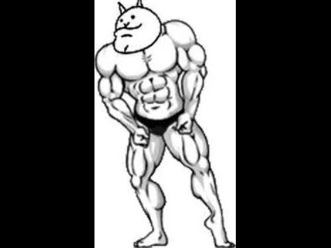 beating bun buns buns with kitten labor