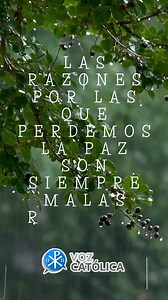 3.8K views · 167 reactions | Jesús nos ha dicho claramente que no se...