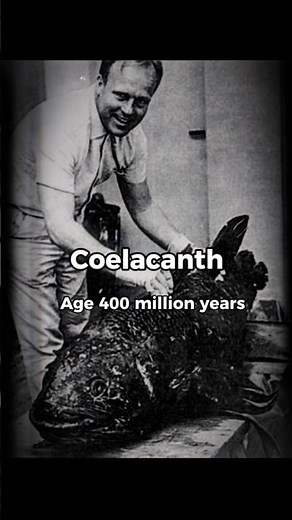 Living Fossils: They ruled Earth for millions of years. #prehistoric #prehistoricanimals