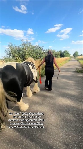 The Lazy Kid Who Loves Horses: A Summer Story