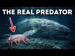 Creepy Deep-Sea Creatures With Talents That Feel Unreal