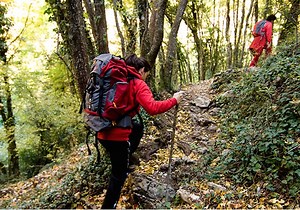 Silenzi, foreste e borghi: il cammino più emozionante del Centro Italia