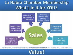 Benefits and Levels of Membership