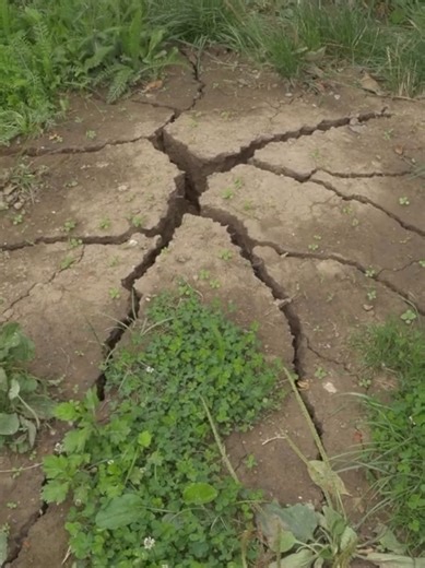 The City Garden Installation by Ruben Bellinkx