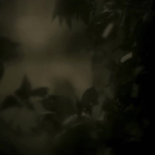 El éxito de Hello: 10 años de Adele