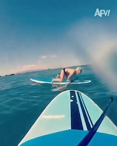 119K views · 1.2K reactions | Are you ready for epic fails? 臘‍♂️ | America's Funniest Home Videos | Facebook