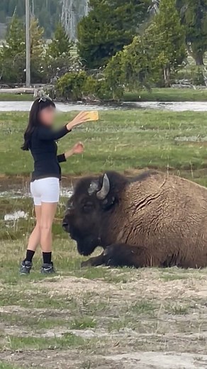 1.6M views · 1.5K reactions | Woman taking selfie gets too close to...