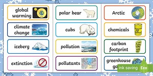 Polar Bear Vocabulary Cards