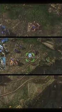 A Chance for Survival. StarCraft 2 cutscene