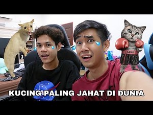 KUCING PALING JAHAT DI DUNIA 😱 BAD CAT ROBLOX 😼