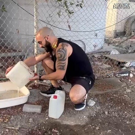 Dogs are being abandoned on the streets of Bahrain by uncaring breeders and owners, causing distress and concern for animal rights activists. This issue highlights the need for widespread awareness, responsible pet ownership, and stronger measures to hold breeders and owners accountable. Read more https://www.newsofbahrain.com/bahrain/92945.html #NewsofBahrain #Bahrain🇧🇭🇧🇭 #dogs🐕‍🦺🐕‍🦺🐕 #animallife #animalbreeding #animalactivists #awareness | News Of Bahrain