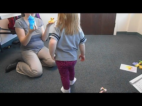 ABA Vocal Mand Training Example