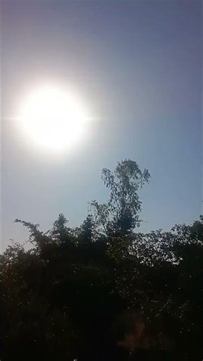 #funny viral song #music