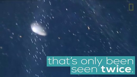 Watch: Squid egg "balls" are rarely seen, as they're deep underwater and last for only a few days before the babies hatch and the mass disintegrates. Scientists recently got an up-close look. | National Geographic