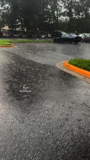 Rain Aesthetic: Relaxing Rainy Day Ambience