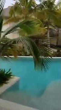 Secrets Cap Cana - Preferred Club Junior Suite Swim Out Double