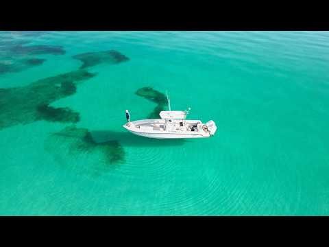 A Beautiful Day For A Beautiful Day | Dolphin Snapper Permit