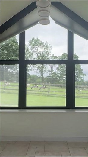 Modern Grey Electric Blinds for Apex Windows l Specialist Blinds