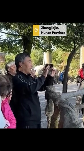 11K views · 37 reactions | An astonishing sea of clouds appeared in Zhangjiajie, central China's Hunan Province, creating a stunning view with mountains submerged by the wide expanse of white clouds. #ChinainLens #SeeChina For more: https://english.cctv.com/ | CCTV | Facebook