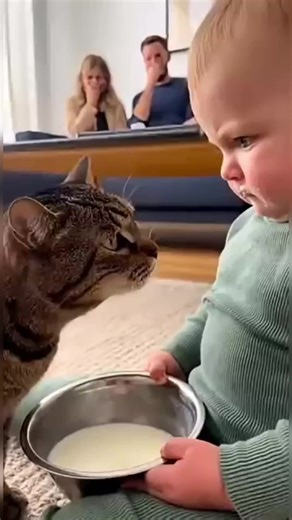 Cute Baby vs Cat: Hilarious Pranks and Fun Moments
