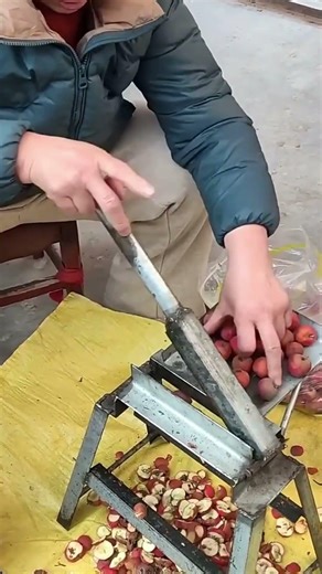 Hawthorn Processing Machine | Simple Mechanical Fruit Cutter